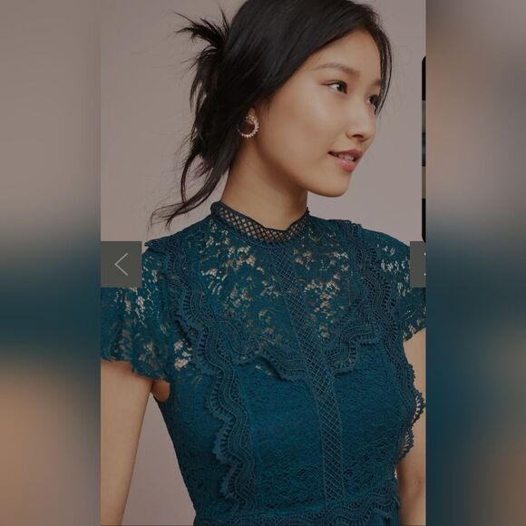 Anthropologie Greenwich Lace Dress size 4 - Picture 8 of 8